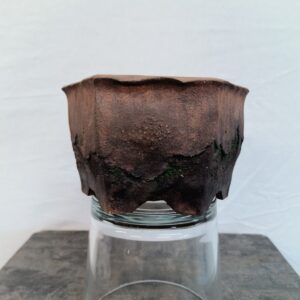 Bonsai miska